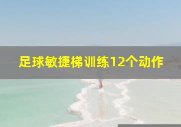 足球敏捷梯训练12个动作