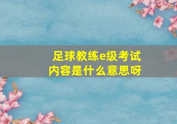 足球教练e级考试内容是什么意思呀