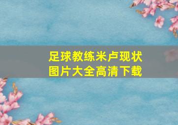 足球教练米卢现状图片大全高清下载