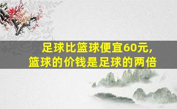 足球比篮球便宜60元,篮球的价钱是足球的两倍