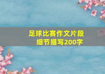 足球比赛作文片段细节描写200字