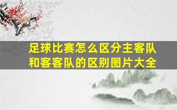 足球比赛怎么区分主客队和客客队的区别图片大全