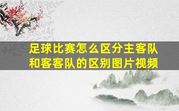 足球比赛怎么区分主客队和客客队的区别图片视频