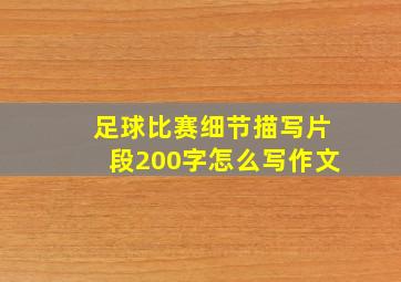 足球比赛细节描写片段200字怎么写作文