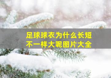 足球球衣为什么长短不一样大呢图片大全