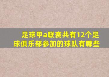 足球甲a联赛共有12个足球俱乐部参加的球队有哪些