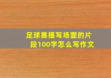 足球赛描写场面的片段100字怎么写作文