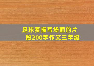 足球赛描写场面的片段200字作文三年级