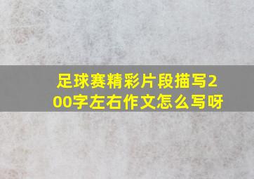 足球赛精彩片段描写200字左右作文怎么写呀