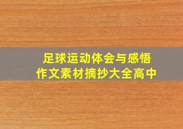 足球运动体会与感悟作文素材摘抄大全高中