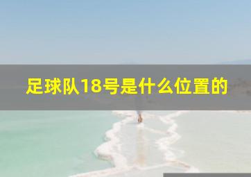 足球队18号是什么位置的