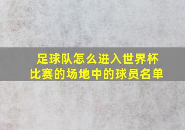 足球队怎么进入世界杯比赛的场地中的球员名单