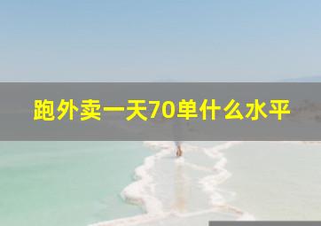 跑外卖一天70单什么水平