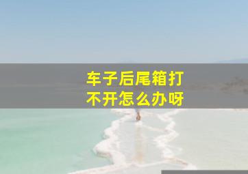 车子后尾箱打不开怎么办呀