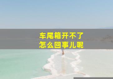 车尾箱开不了怎么回事儿呢