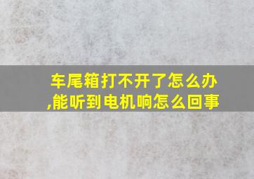 车尾箱打不开了怎么办,能听到电机响怎么回事