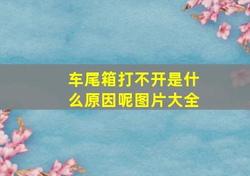 车尾箱打不开是什么原因呢图片大全