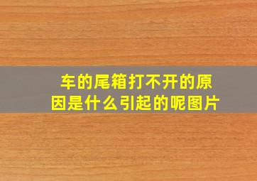 车的尾箱打不开的原因是什么引起的呢图片