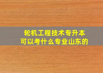 轮机工程技术专升本可以考什么专业山东的