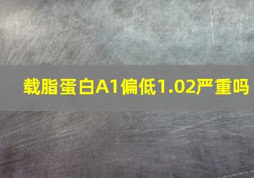 载脂蛋白A1偏低1.02严重吗