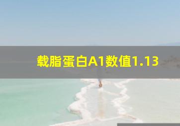 载脂蛋白A1数值1.13