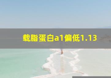 载脂蛋白a1偏低1.13