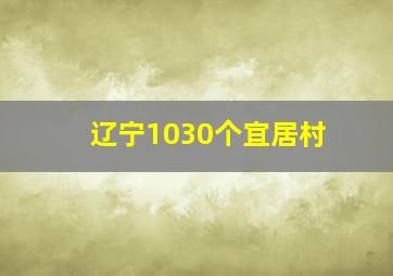 辽宁1030个宜居村