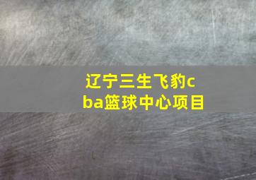 辽宁三生飞豹cba篮球中心项目