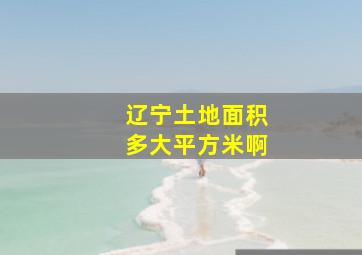 辽宁土地面积多大平方米啊