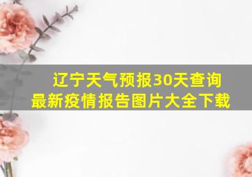 辽宁天气预报30天查询最新疫情报告图片大全下载