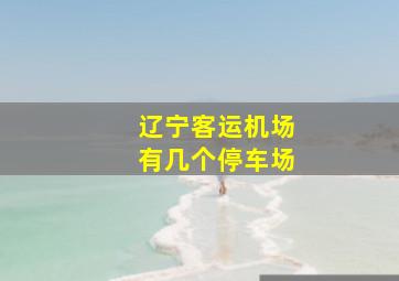 辽宁客运机场有几个停车场