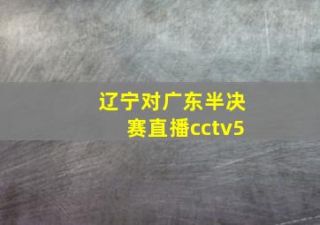 辽宁对广东半决赛直播cctv5