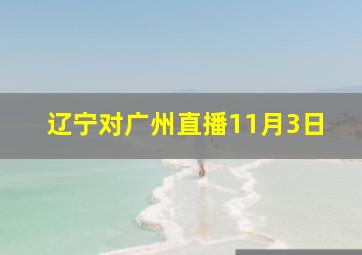 辽宁对广州直播11月3日