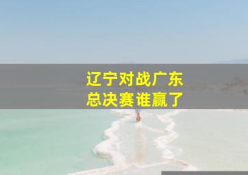 辽宁对战广东总决赛谁赢了