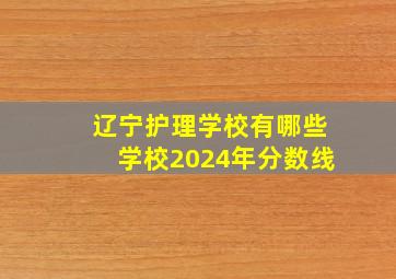 辽宁护理学校有哪些学校2024年分数线