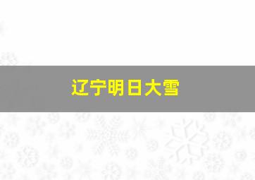 辽宁明日大雪