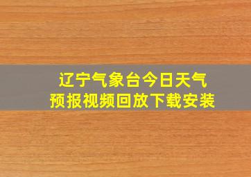 辽宁气象台今日天气预报视频回放下载安装