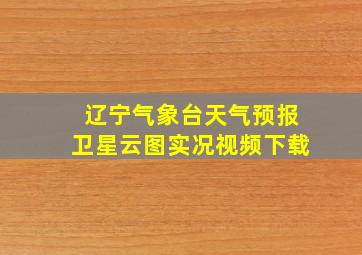 辽宁气象台天气预报卫星云图实况视频下载