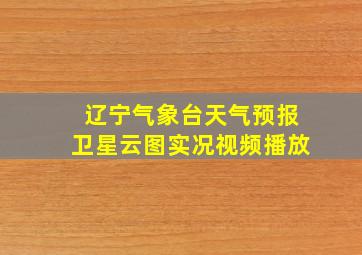 辽宁气象台天气预报卫星云图实况视频播放