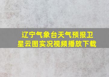 辽宁气象台天气预报卫星云图实况视频播放下载