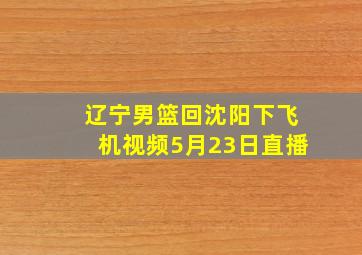 辽宁男篮回沈阳下飞机视频5月23日直播