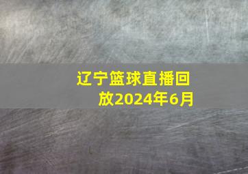 辽宁篮球直播回放2024年6月