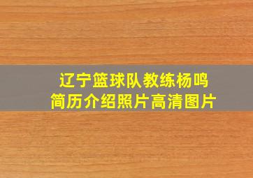 辽宁篮球队教练杨鸣简历介绍照片高清图片