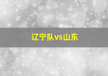 辽宁队vs山东