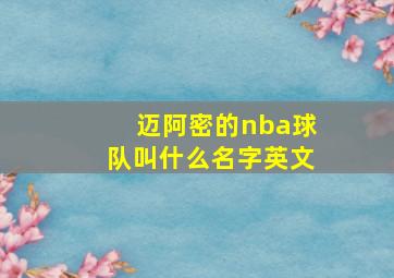 迈阿密的nba球队叫什么名字英文