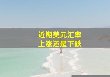 近期美元汇率上涨还是下跌