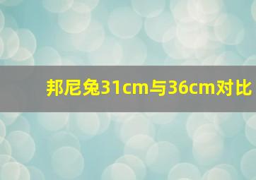 邦尼兔31cm与36cm对比