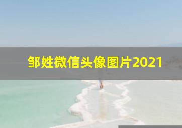 邹姓微信头像图片2021