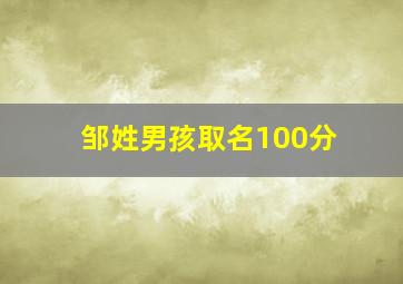 邹姓男孩取名100分