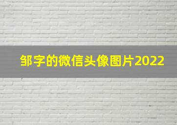 邹字的微信头像图片2022